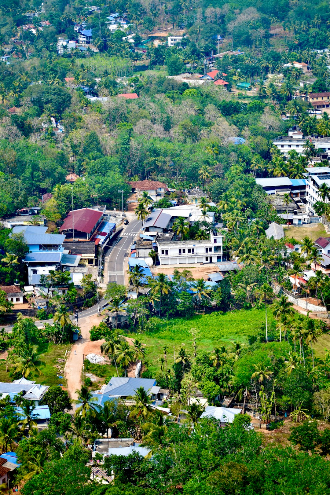 Aerial view of a tropical village and green land illustrating property boundary and ownership checks