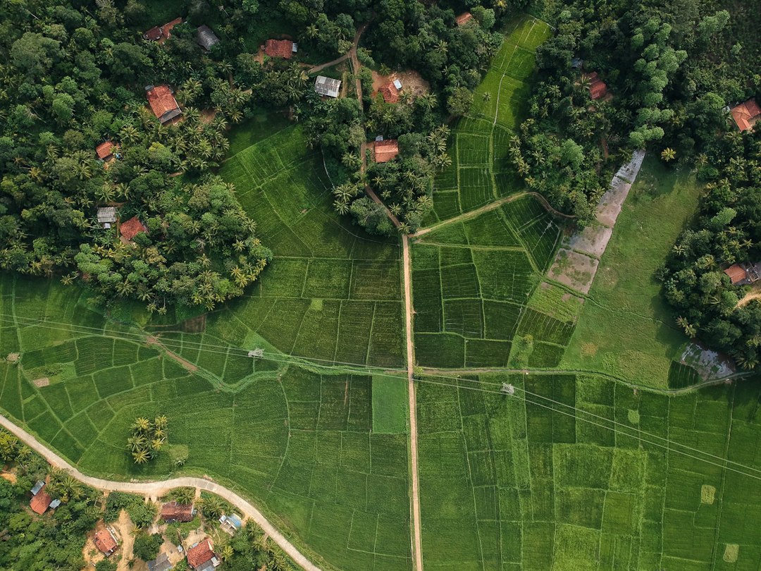 Aerial view of agricultural fields illustrating land identification and boundaries in a property transaction